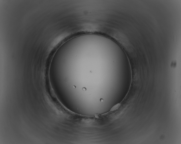 X0000093570440200710221446