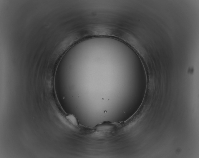 X0000093570441200710221446
