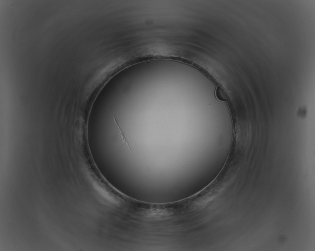 X0000093570445200710221447