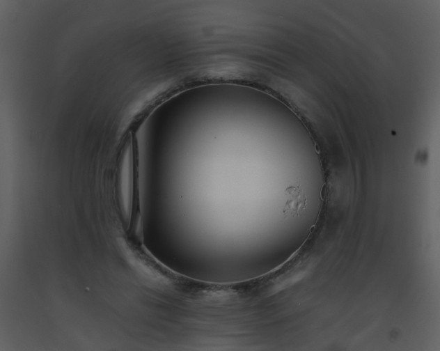 X0000093570446200710221447