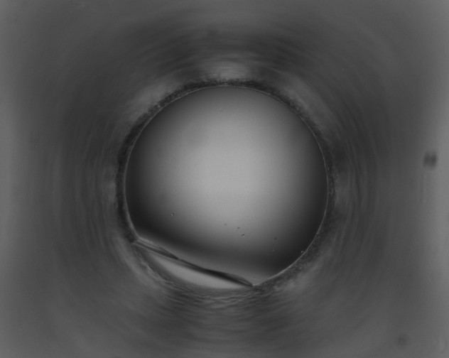 X0000093570447200710221447