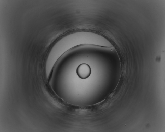 X0000093570448200710221447