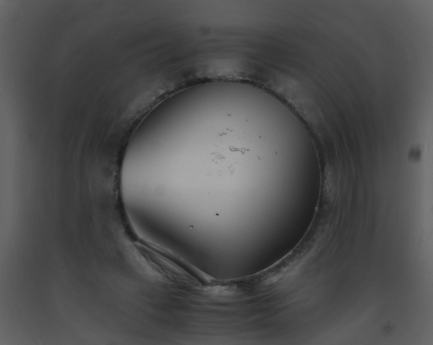 X0000093570449200710221447