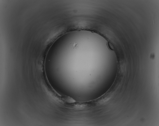 X0000093570450200710221447