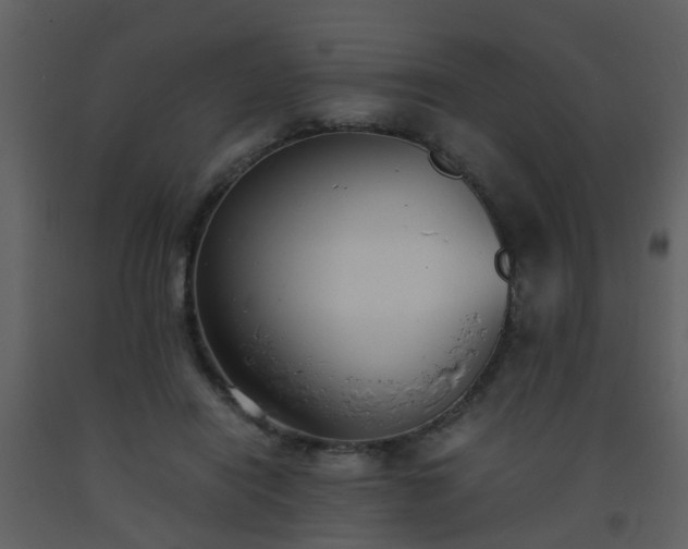 X0000093570454200710221447