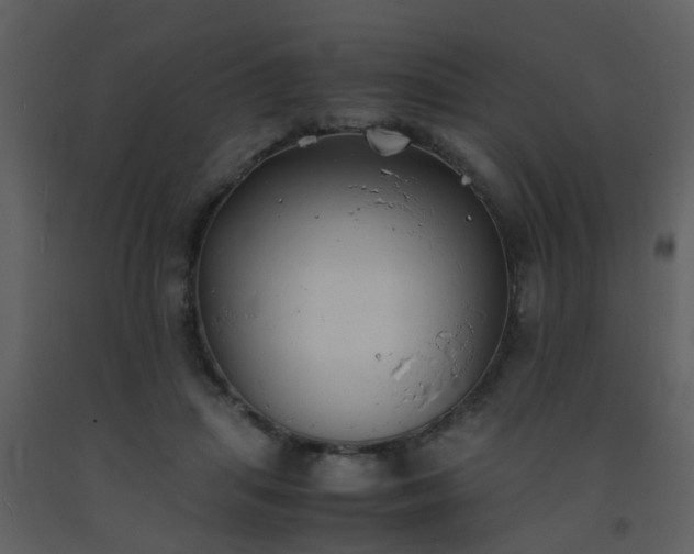 X0000093570455200710221447