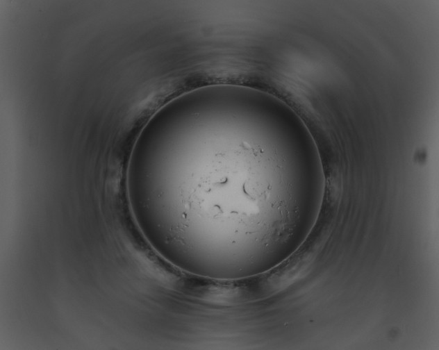 X0000093570458200710221447