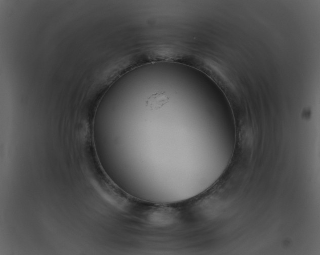 X0000093570459200710221447