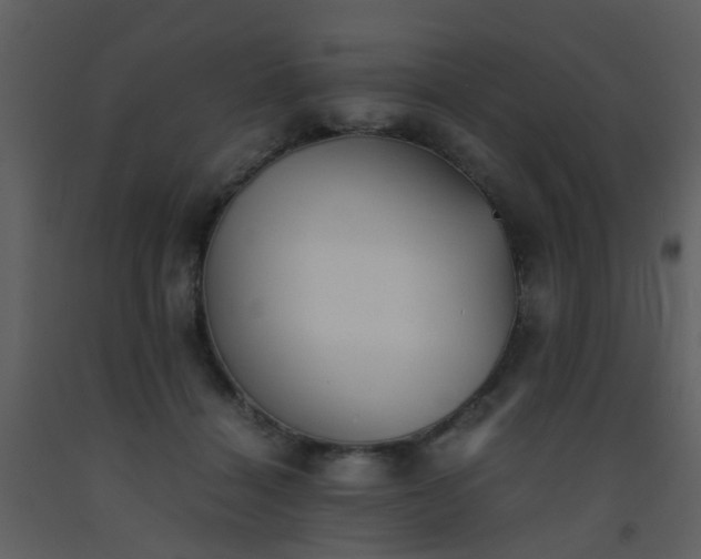 X0000093570460200710221447
