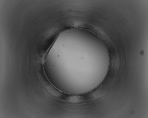 X0000093570461200710221447