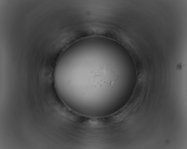 X0000093570464200710221447