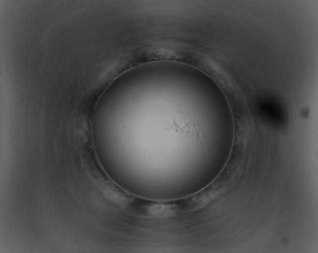 X0000093570465200710221447