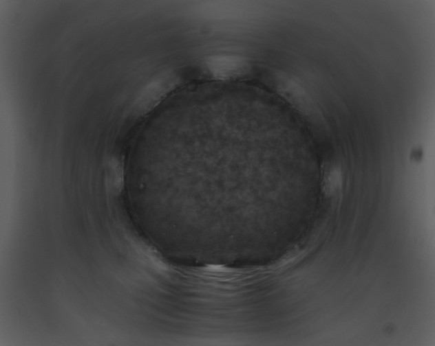 X0000093570471200710221447