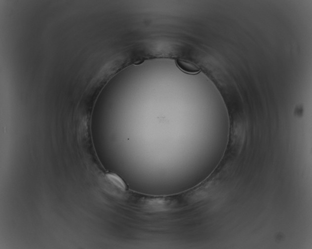 X0000093570473200710221447