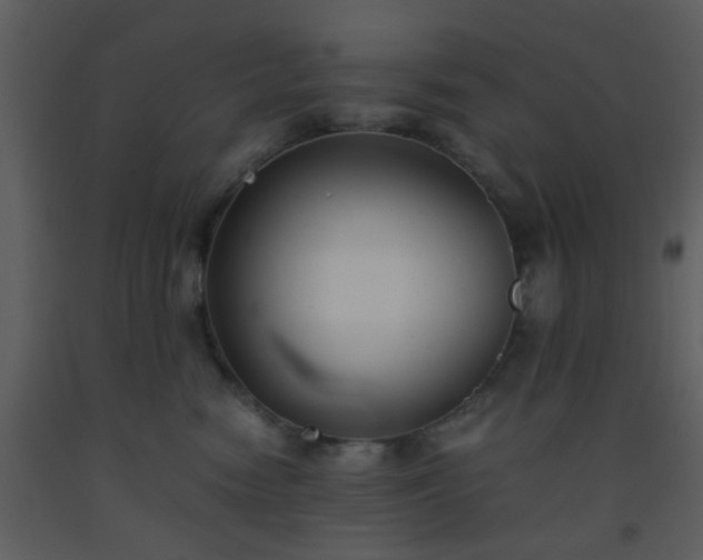 X0000093570474200710221447
