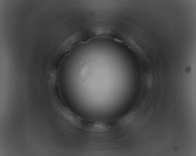 X0000093570475200710221447