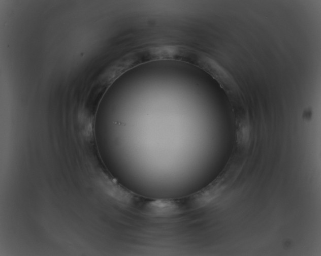 X0000093570477200710221447