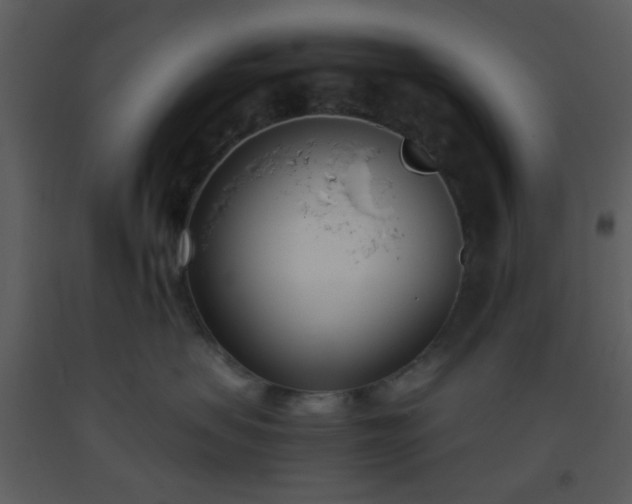 X0000093570479200710221447