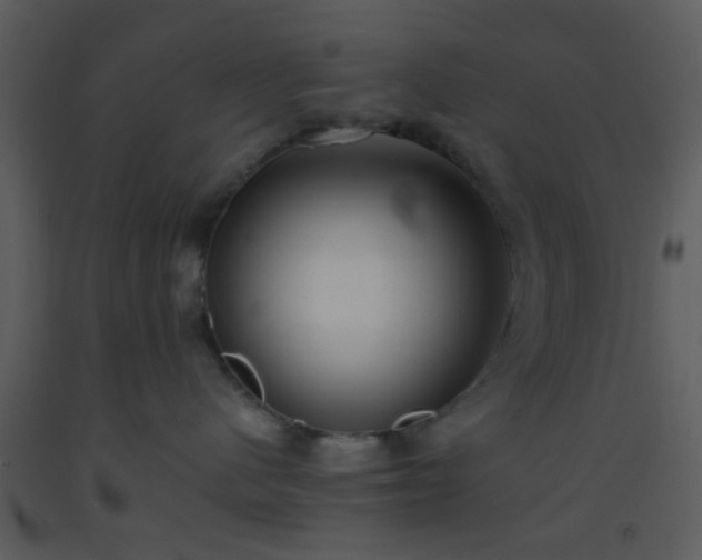 X0000093570480200710221447