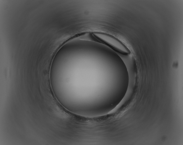 X0000093570481200710221446