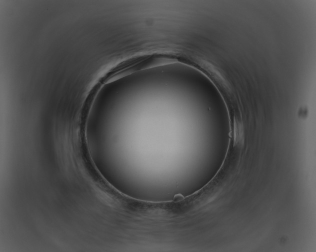 X0000093570483200710221446