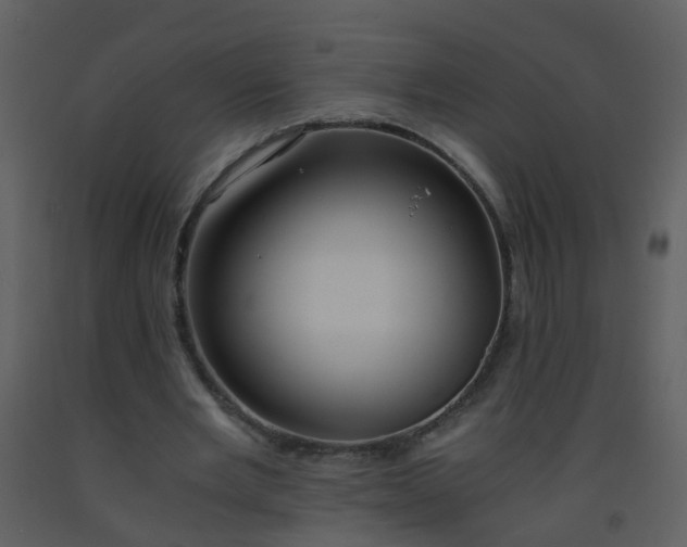 X0000093570485200710221446
