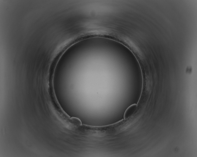 X0000093570486200710221446