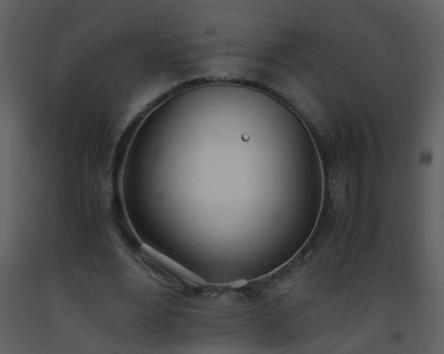 X0000093570488200710221446