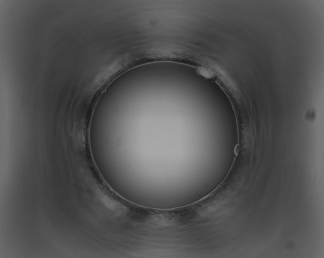 X0000093570489200710221446