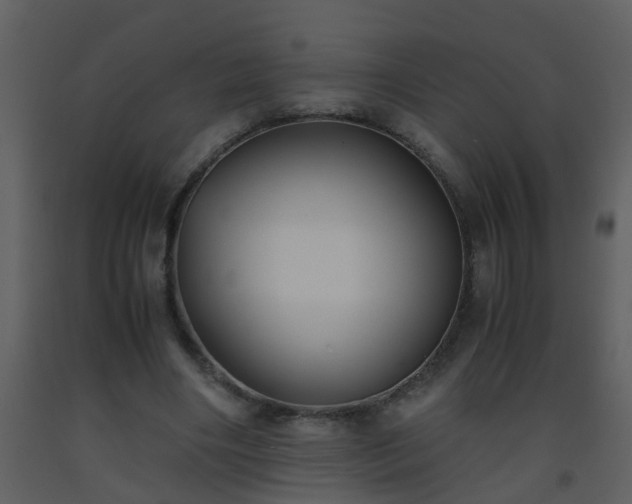 X0000093570490200710221446
