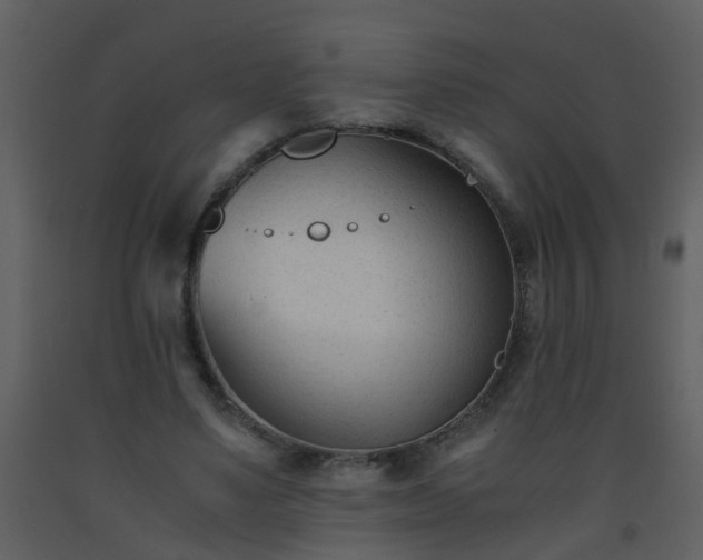 X0000093570491200710221446