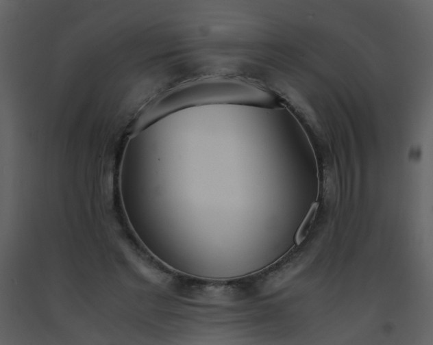 X0000093570493200710221446