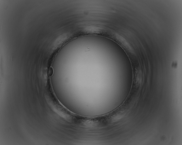 X0000093570494200710221446
