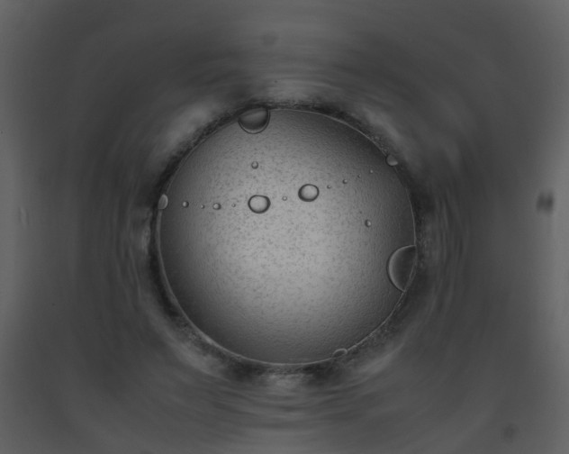 X0000093570495200710221446