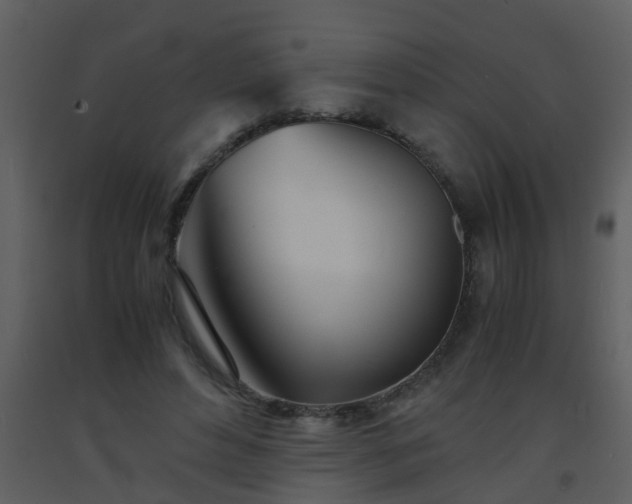 X0000093570496200710221446
