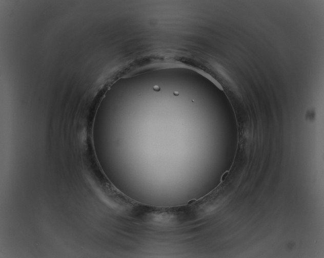 X0000093570500200710221446