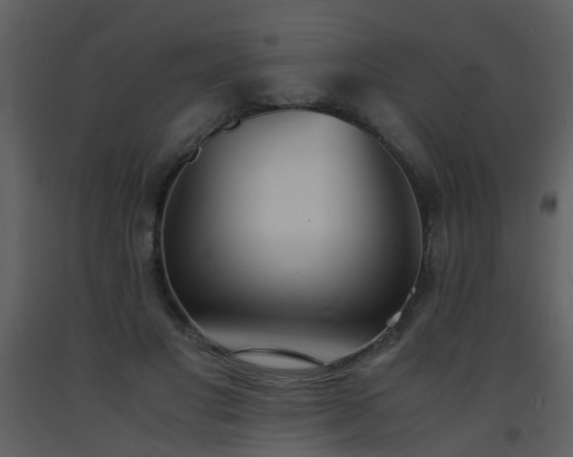 X0000093570501200710221446