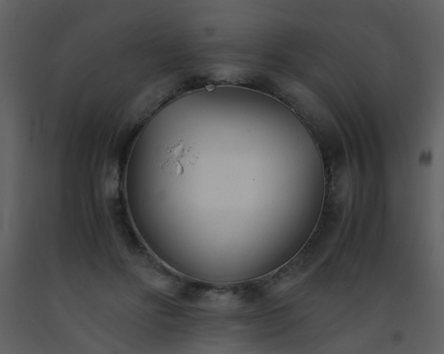 X0000093570502200710221446
