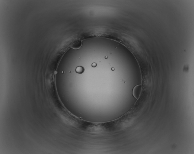 X0000093570503200710221446