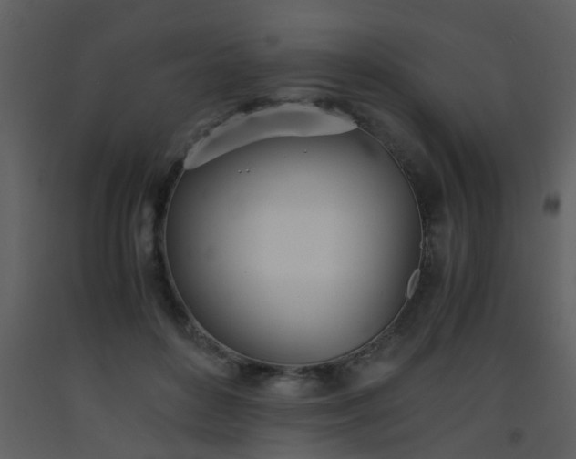 X0000093570504200710221446