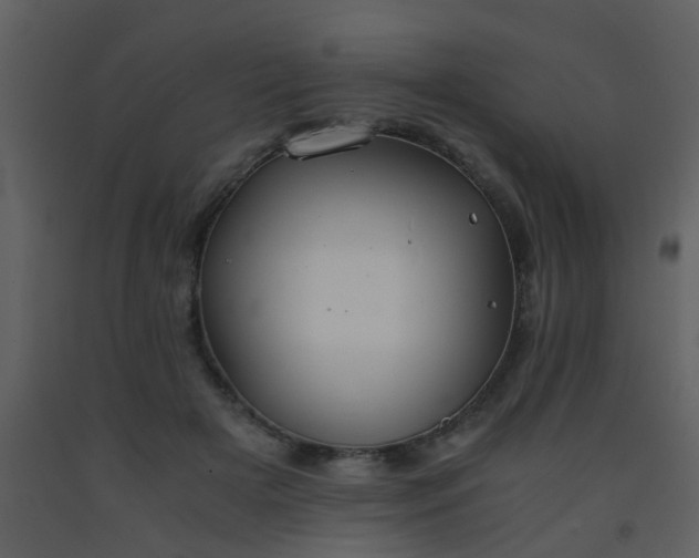X0000093570505200710221446