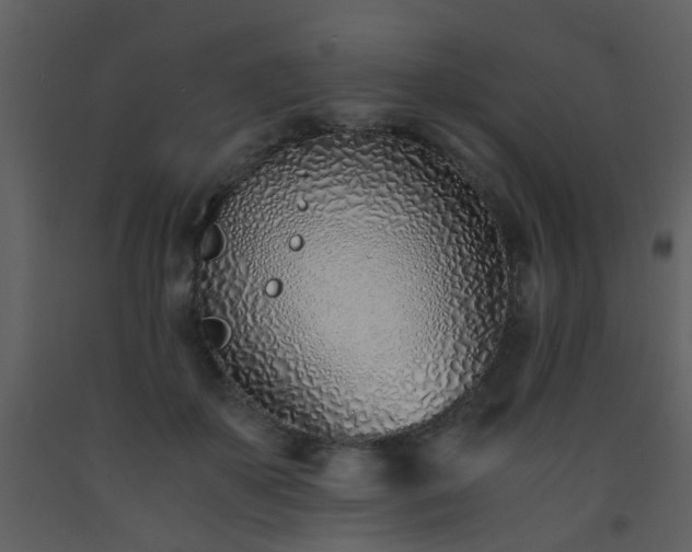 X0000093570507200710221446