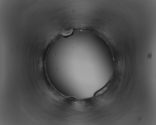 X0000093570508200710221446