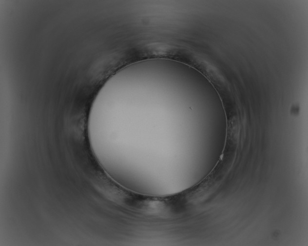 X0000093570509200710221446