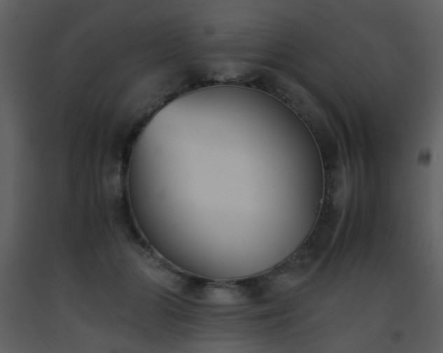 X0000093570510200710221446