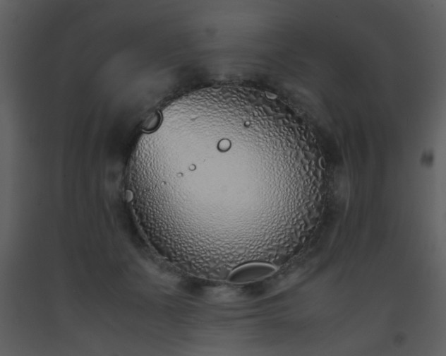 X0000093570511200710221446