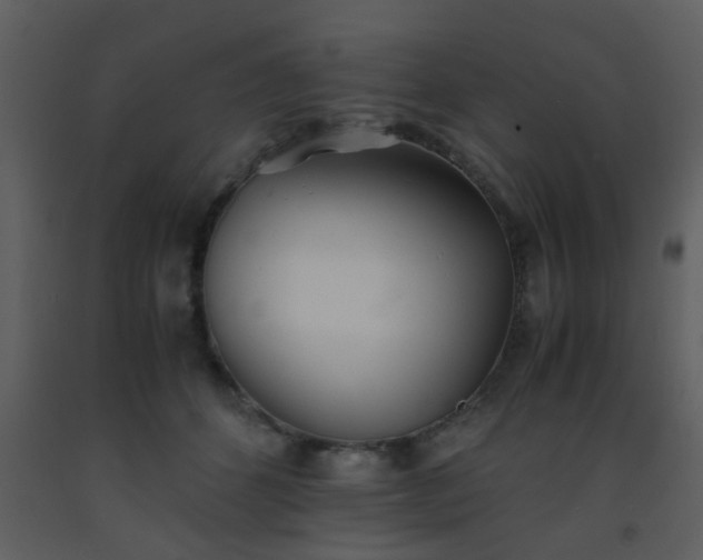 X0000093570512200710221446