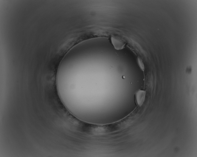 X0000093570513200710221446