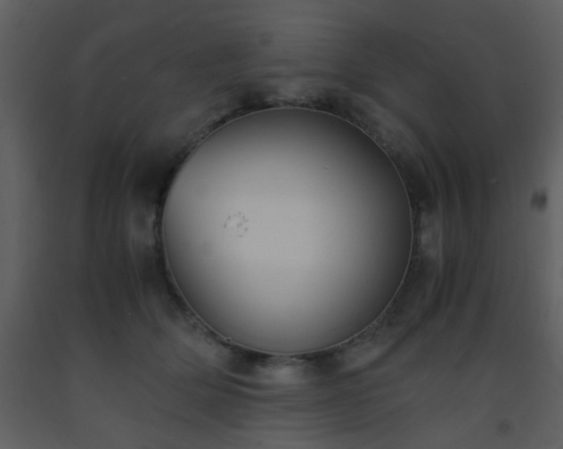 X0000093570514200710221446