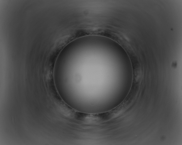 X0000093570515200710221446
